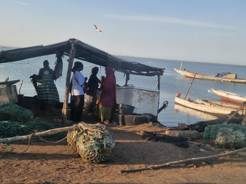 20251221_082401 (Kopiowanie).jpg