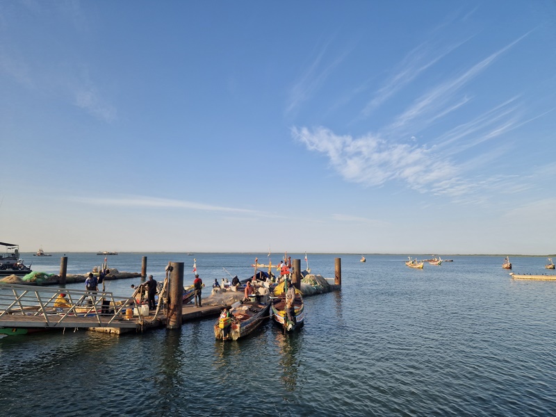 20251221_082914 (Kopiowanie).jpg