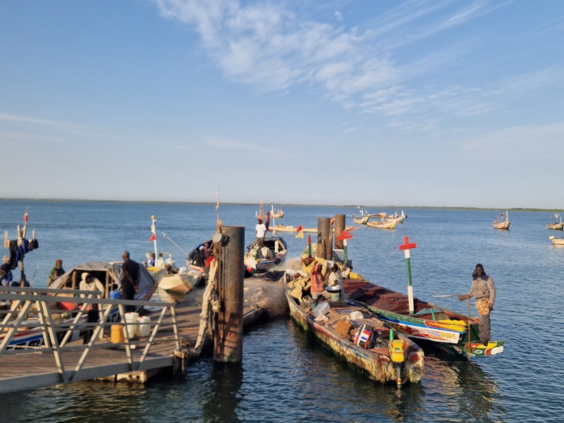 20251221_082922 (Kopiowanie).jpg