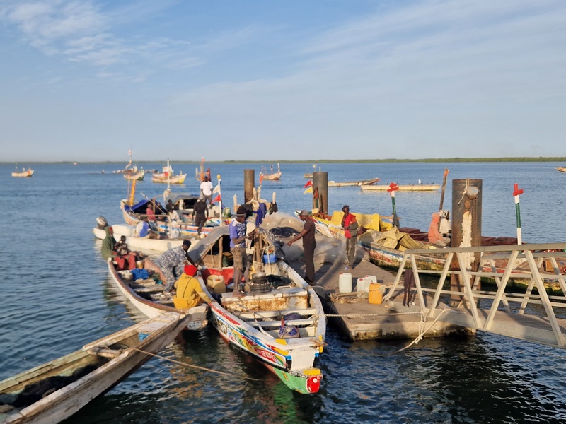 20251221_082934 (Kopiowanie).jpg