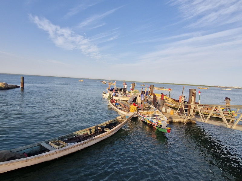 20251221_082936 (Kopiowanie).jpg