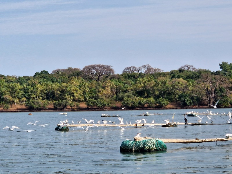 20251221_093411 (Kopiowanie).jpg