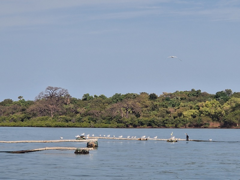 20251221_093423 (Kopiowanie).jpg