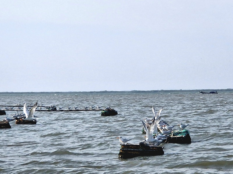 20251221_102307 (Kopiowanie).jpg