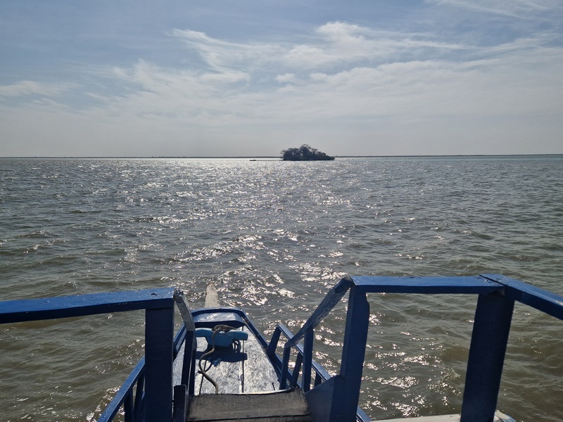 20251221_105105 (Kopiowanie).jpg