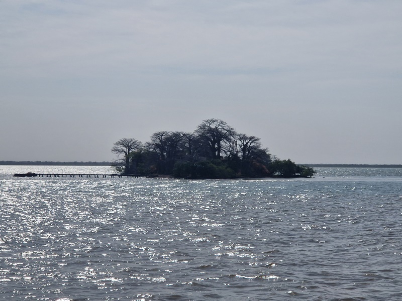 20251221_105200 (Kopiowanie).jpg