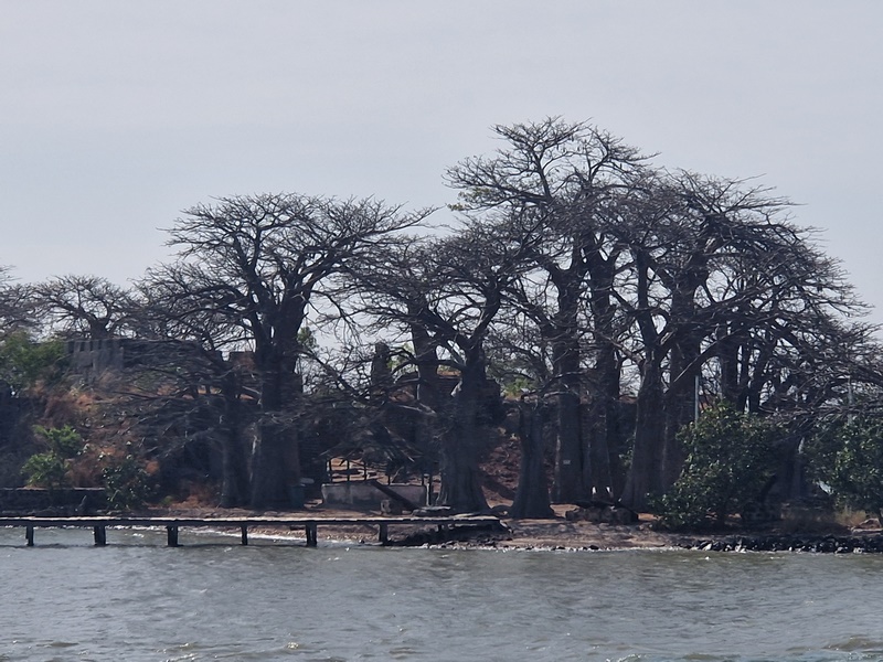 20251221_105348 (Kopiowanie).jpg