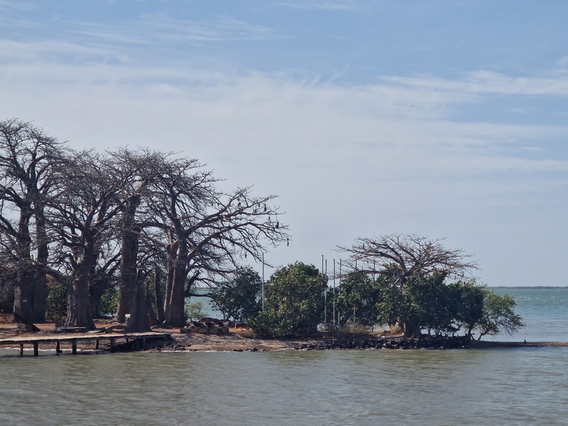 20251221_105438 (Kopiowanie).jpg