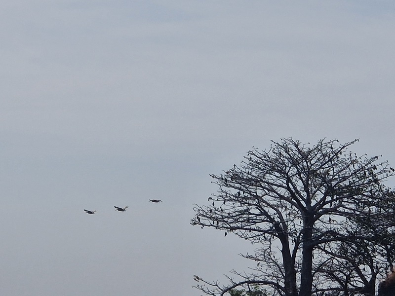 20251221_105507 (Kopiowanie).jpg