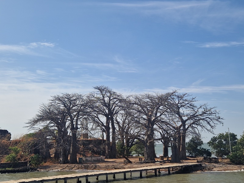 20251221_105522 (Kopiowanie).jpg