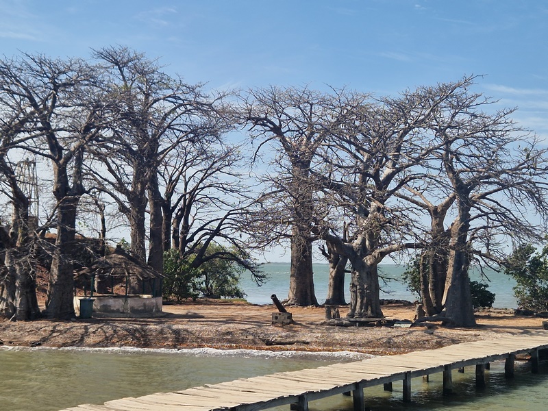 20251221_105600 (Kopiowanie).jpg