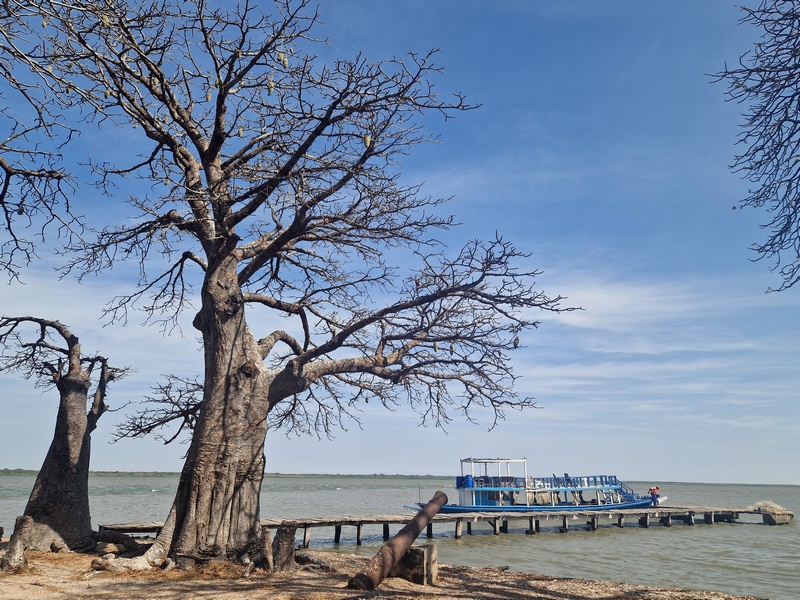 20251221_110817 (Kopiowanie).jpg