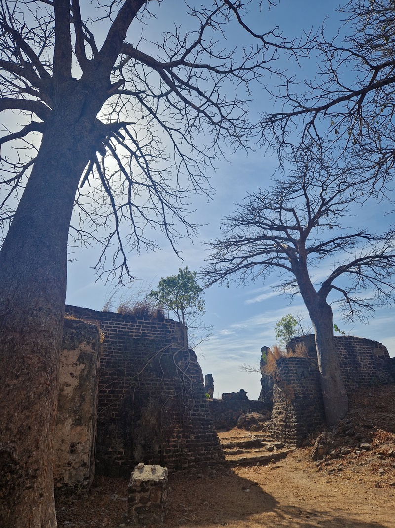 20251221_110927 (Kopiowanie).jpg