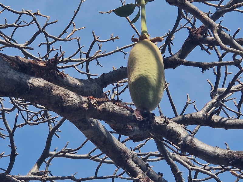 20251221_111119 (Kopiowanie).jpg