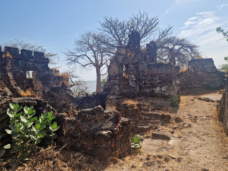 20251221_111333 (Kopiowanie).jpg