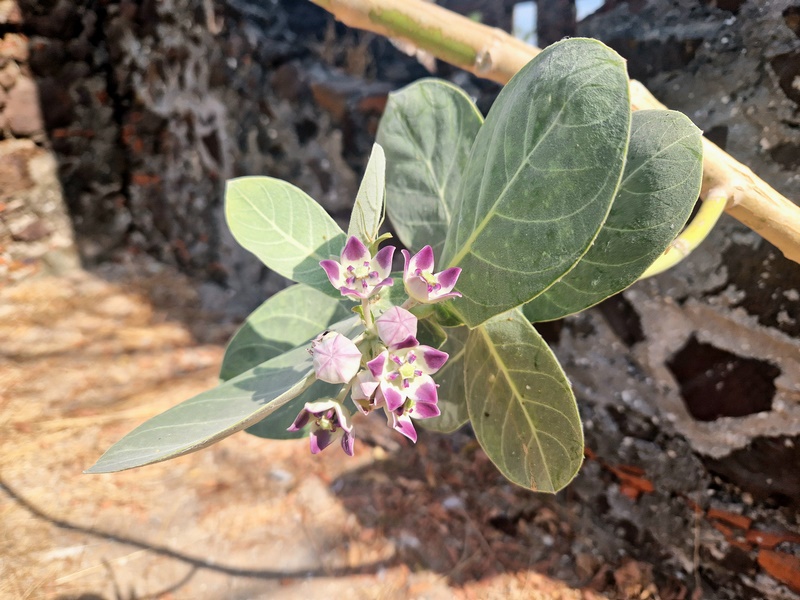 20251221_111520 (Kopiowanie).jpg