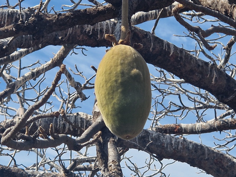 20251221_111655 (Kopiowanie).jpg