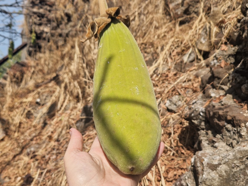 20251221_111759 (Kopiowanie).jpg