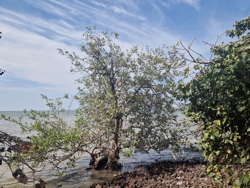 20251221_111828 (Kopiowanie).jpg