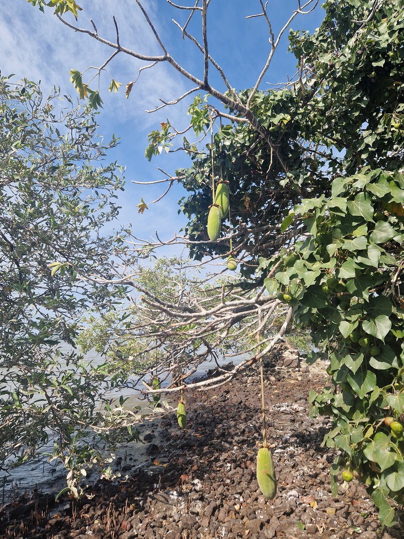 20251221_111842 (Kopiowanie).jpg