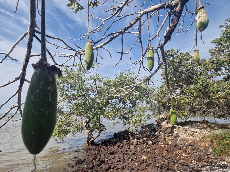 20251221_111908 (Kopiowanie).jpg