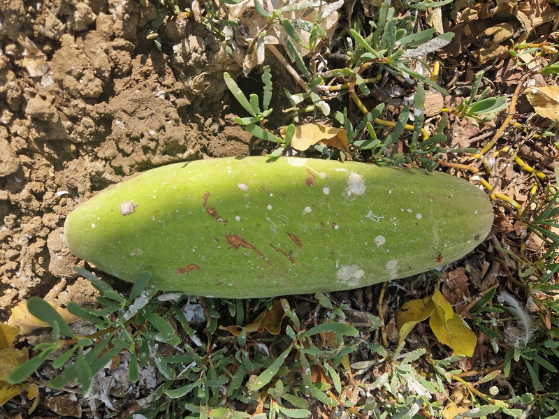 20251221_111938 (Kopiowanie).jpg