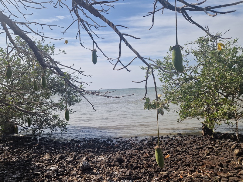 20251221_111943 (Kopiowanie).jpg