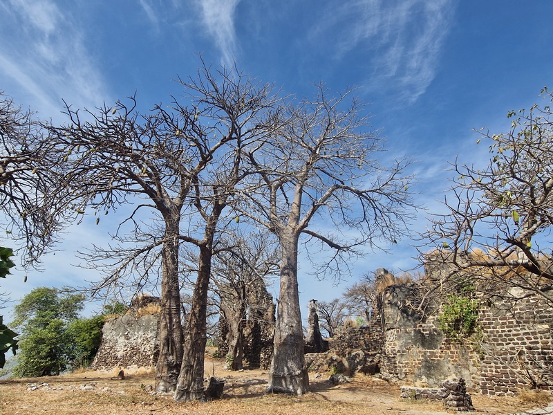 20251221_112705 (Kopiowanie).jpg