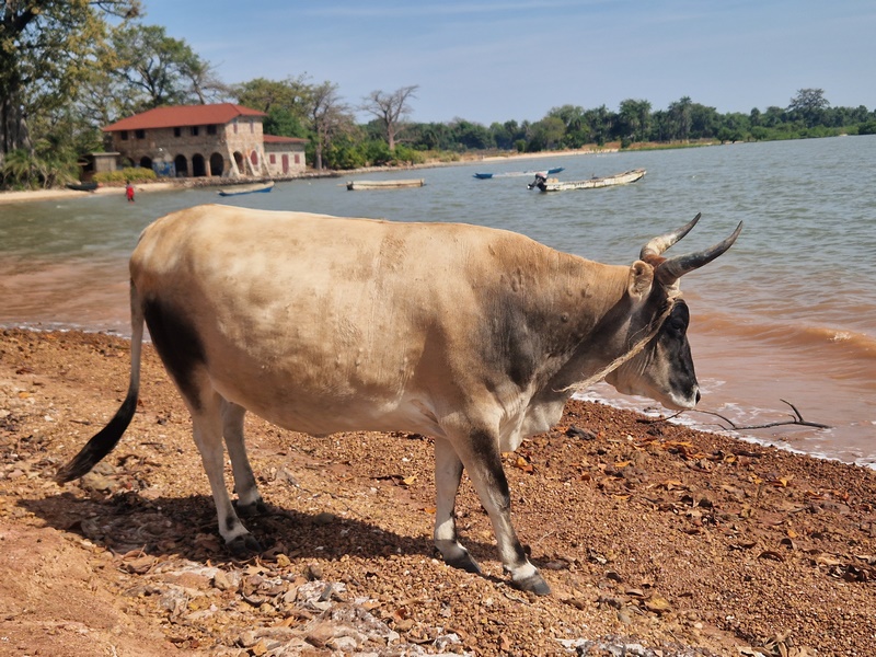 20251221_121440 (Kopiowanie).jpg