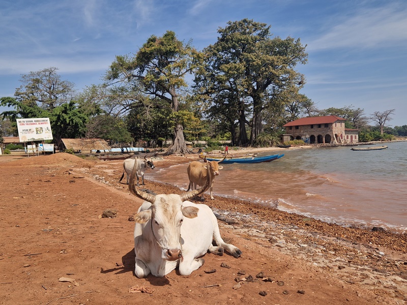 20251221_121512 (Kopiowanie).jpg