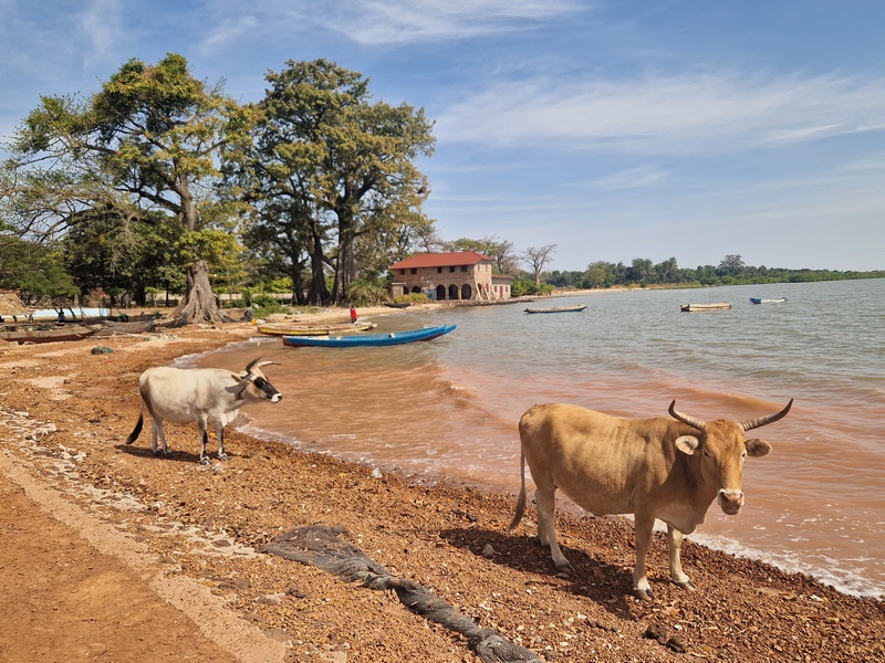 20251221_121526 (Kopiowanie).jpg