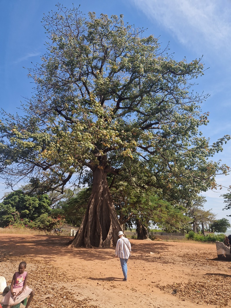 20251221_122601 (Kopiowanie).jpg