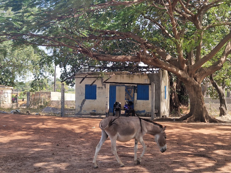 20251221_122632 (Kopiowanie).jpg