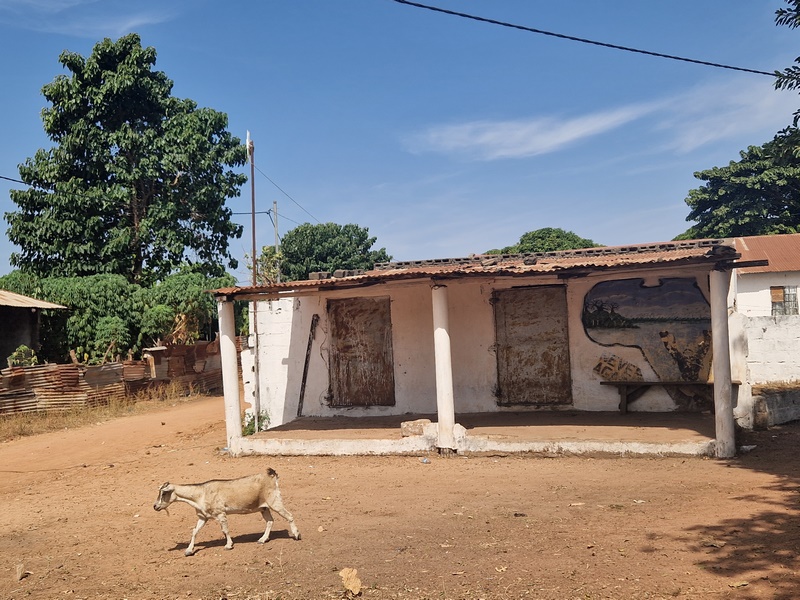 20251221_123000 (Kopiowanie).jpg