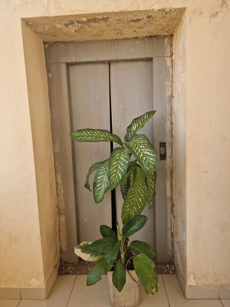 20251222_082539 (Kopiowanie).jpg