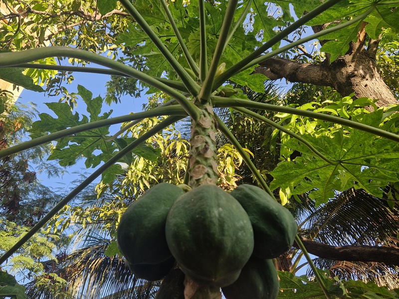 20251222_090534 (Kopiowanie).jpg