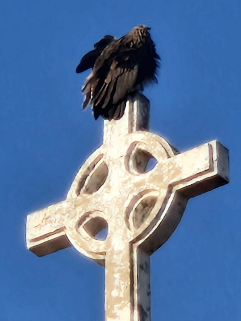 20251222_090632 (Kopiowanie).jpg