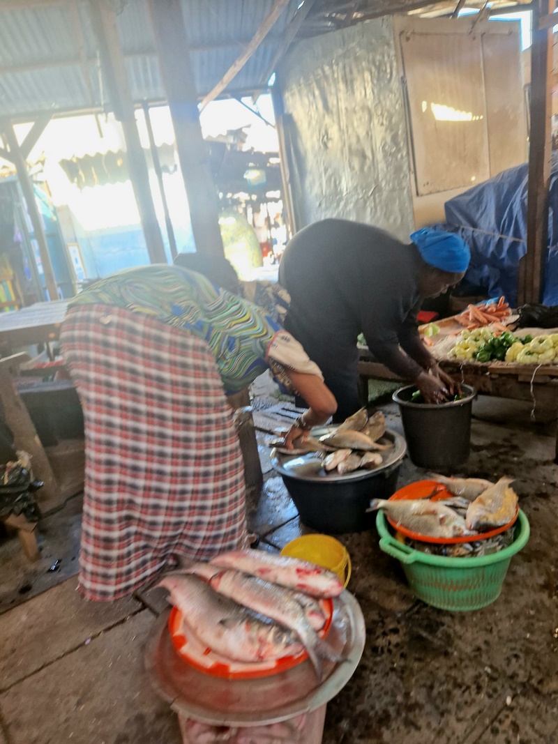 20251222_091700 (Kopiowanie).jpg