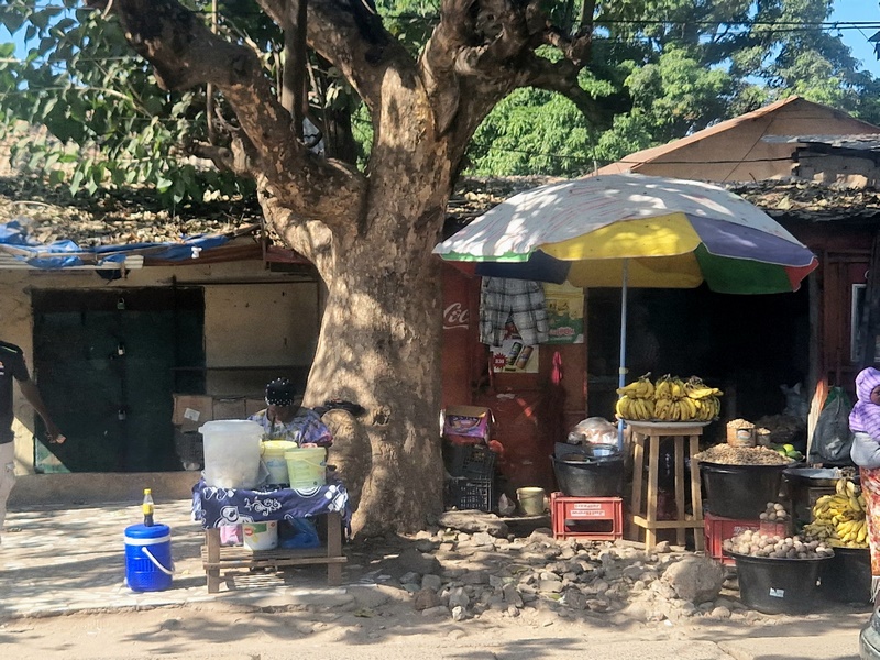 20251222_110033 (Kopiowanie).jpg