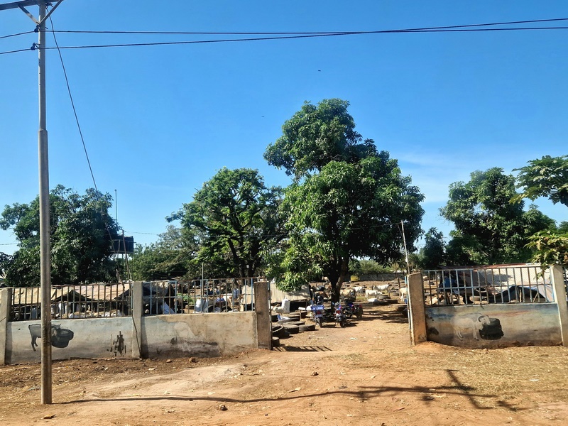 20251222_114006 (Kopiowanie).jpg