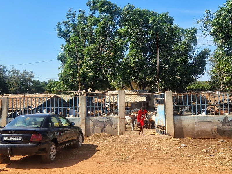 20251222_114010 (Kopiowanie).jpg