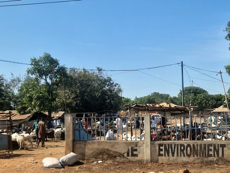 20251222_114012 (Kopiowanie).jpg