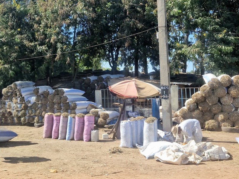 20251222_114017 (Kopiowanie).jpg