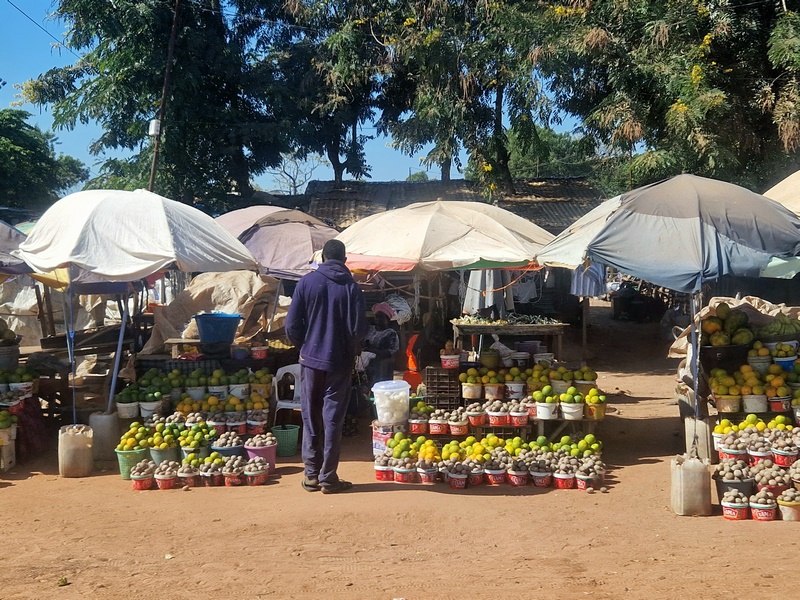 20251222_114019 (Kopiowanie).jpg