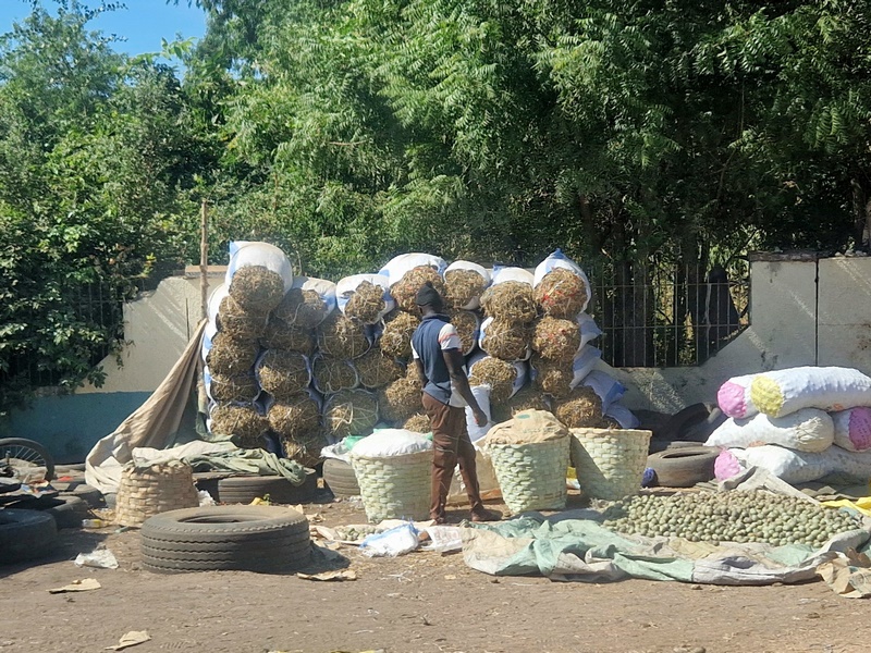 20251222_114024 (Kopiowanie).jpg