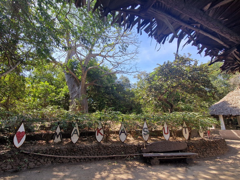 20251222_120952 (Kopiowanie).jpg