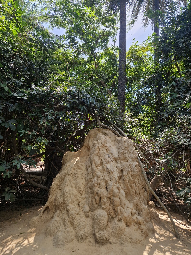 20251222_123007 (Kopiowanie).jpg