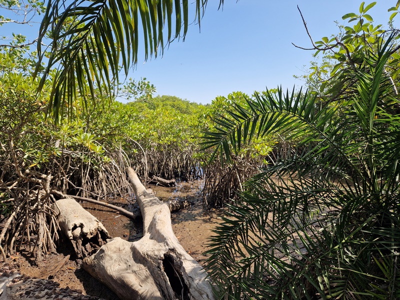 20251222_123420 (Kopiowanie).jpg