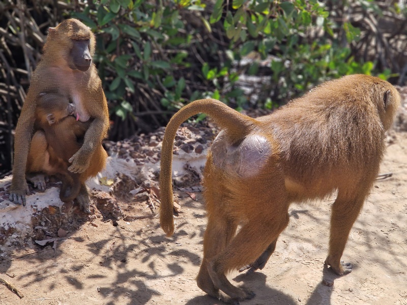 20251222_123437 (Kopiowanie).jpg