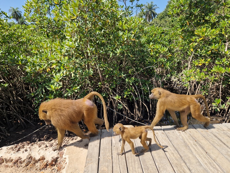 20251222_123454 (Kopiowanie).jpg